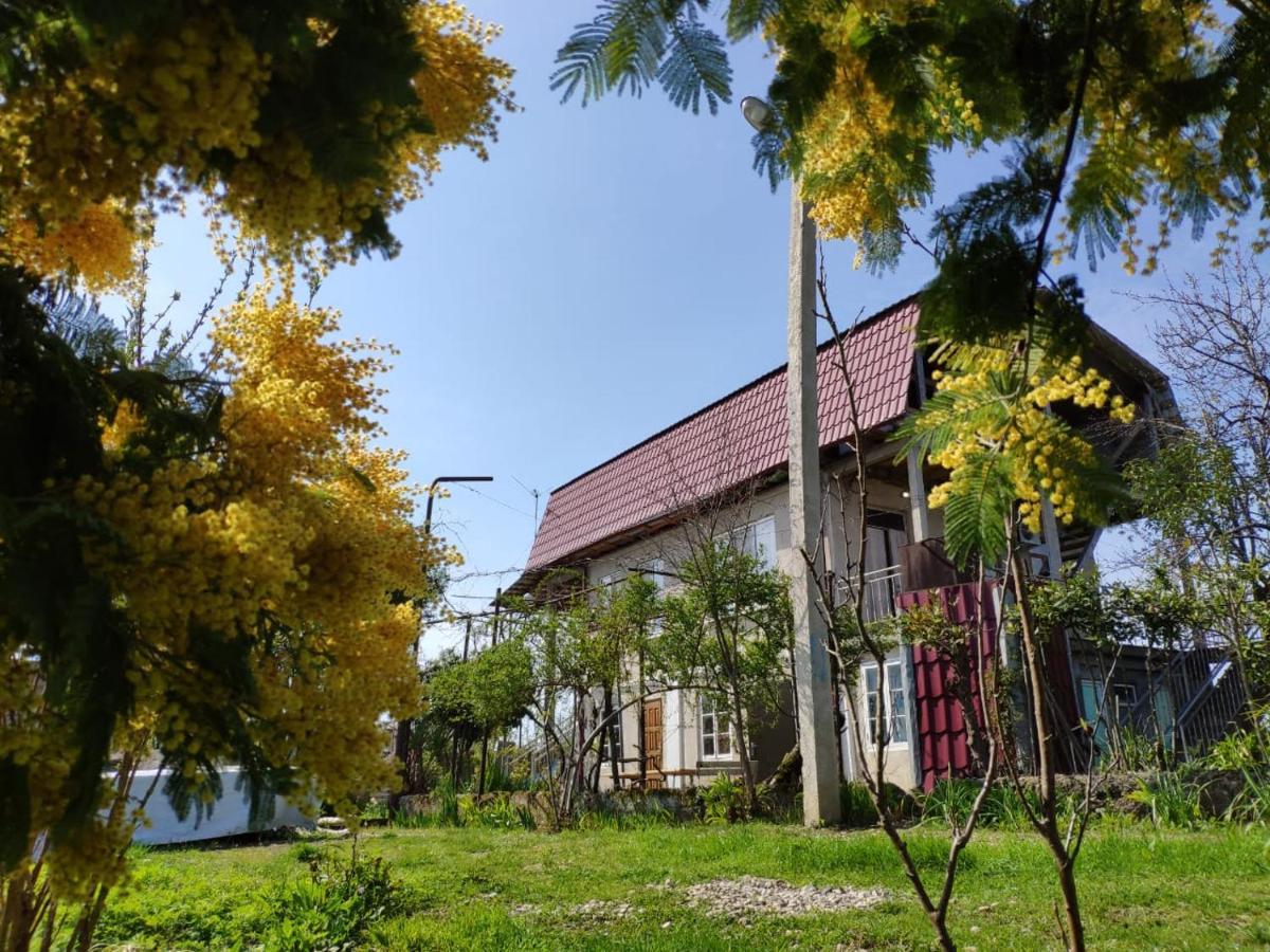 Guest House Anna Сухуми Екстериор снимка